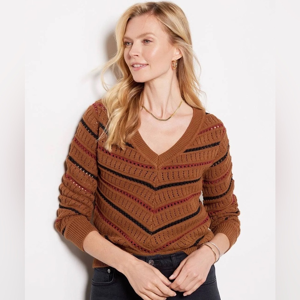 Evereve‎ Brown and Black V-Neck Sweater